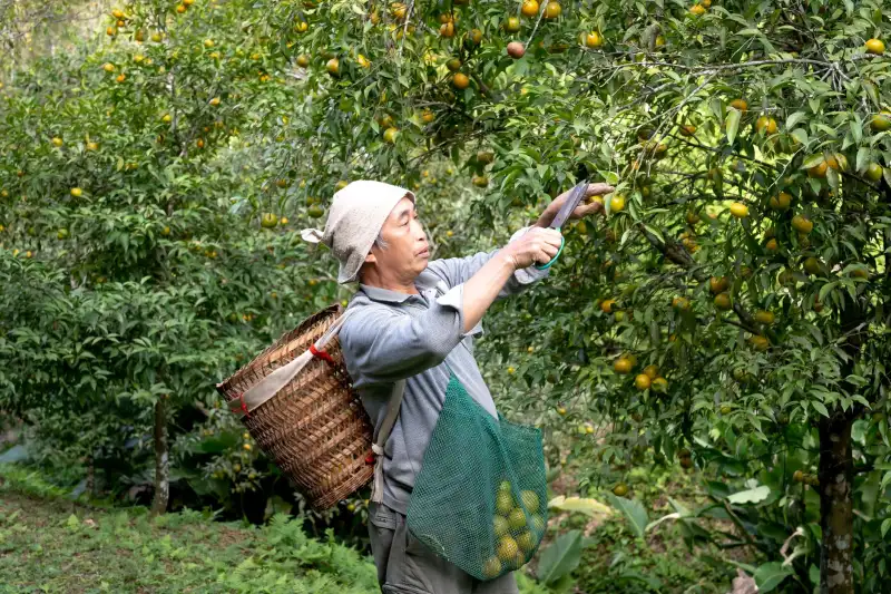 广东健康管理市场:悦安康医疗设备选购指南与参数对比
