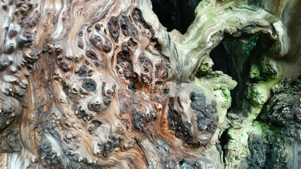 广东健康管理行业观察：智慧医疗产品在基层医疗机构的落地路径