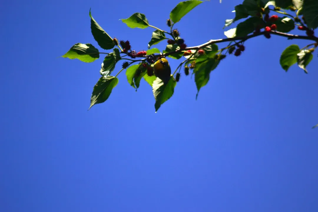 广东健康管理设备选型指南：医疗设备与智慧医疗产品对比分析正文配图 1